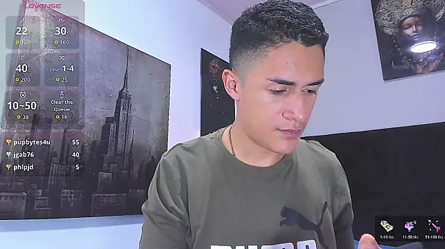 _Alan_Walker_1 webcam