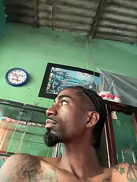 soypleve webcam