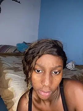 Gata-on-line webcam