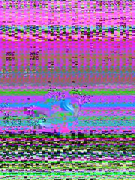 david0white1 webcam