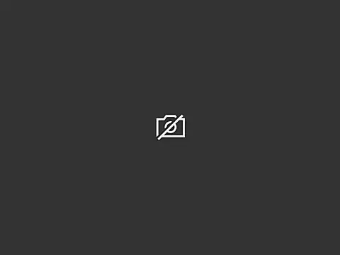 PEGELER webcam