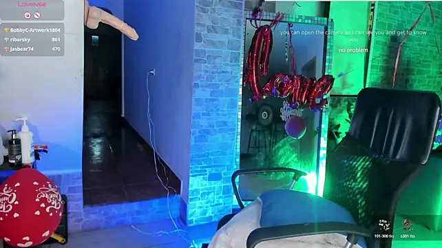 _SARAI_DUPONT webcam