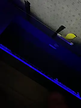 Fury22_ webcam