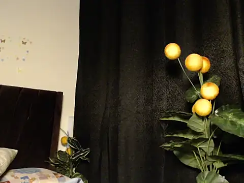prittyprincessa webcam