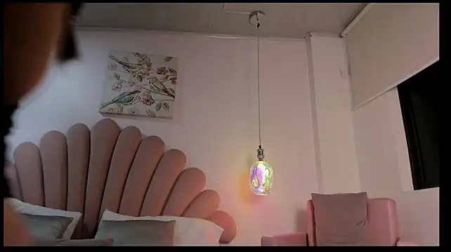 AmelieCrow webcam