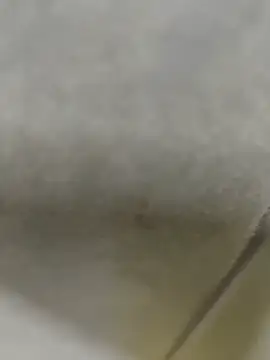 Juanpaulo1937 webcam
