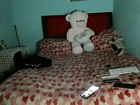 Lau1307- webcam