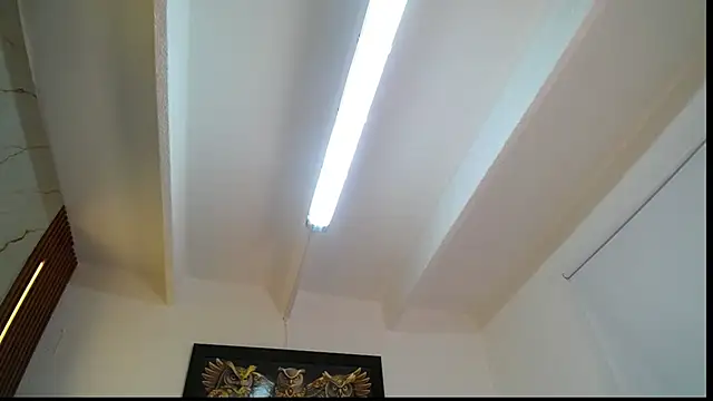 Amber_and_Tyler_ webcam