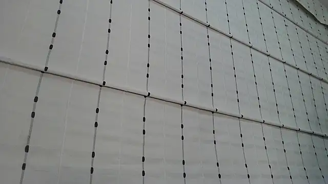 aly_blonde webcam