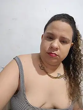 Lasalvaj webcam
