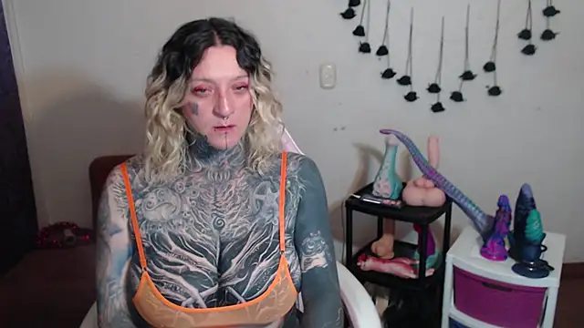SLOPPYTITSS webcam