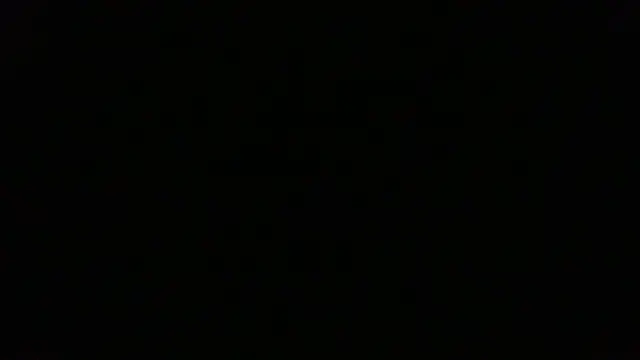 NuttyProfesir webcam