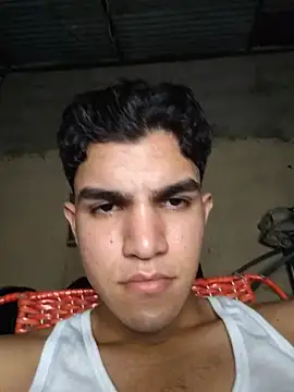 flashm31 webcam