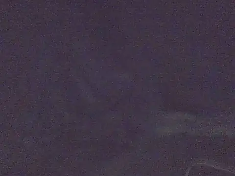 SurXperience webcam