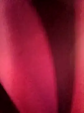 hottyroyp webcam