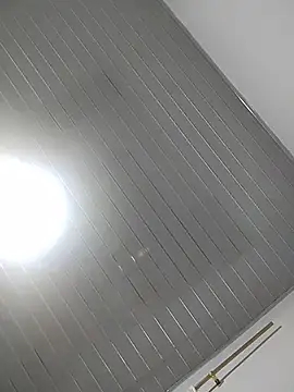 Roousehot webcam