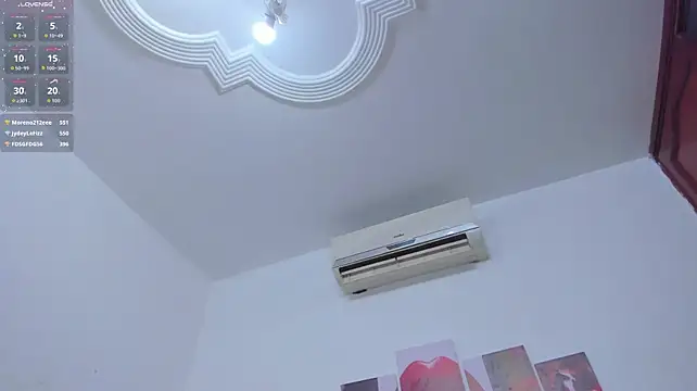Extreme_Team8 webcam