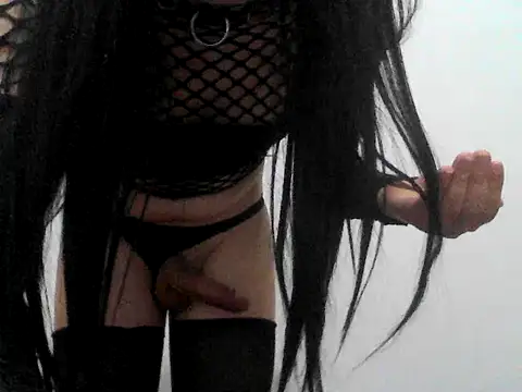 Modelo: AAllyShow