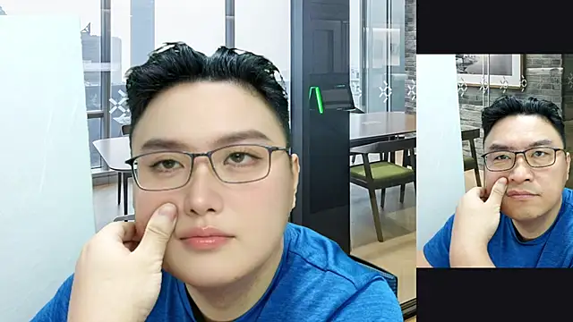 molin2012 webcam