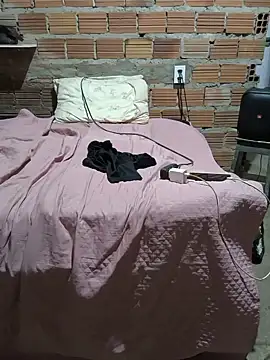 PlayerModel webcam