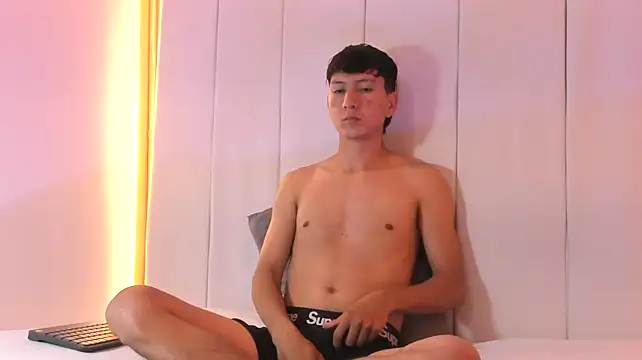 Sammy_OS webcam