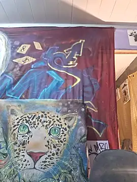 Toycockhot webcam