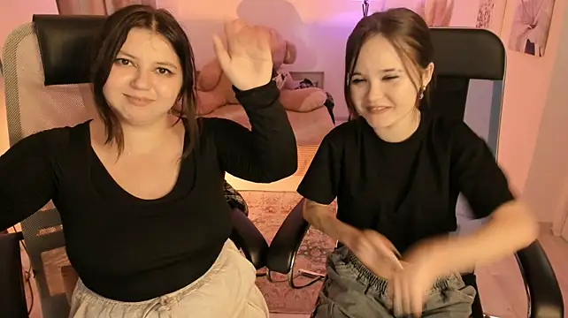 Elainebeness webcam
