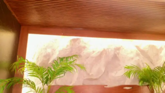 alisonn_moon webcam