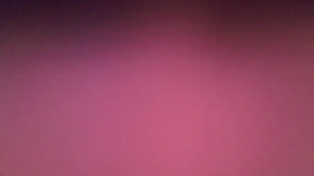 LexKitsune webcam