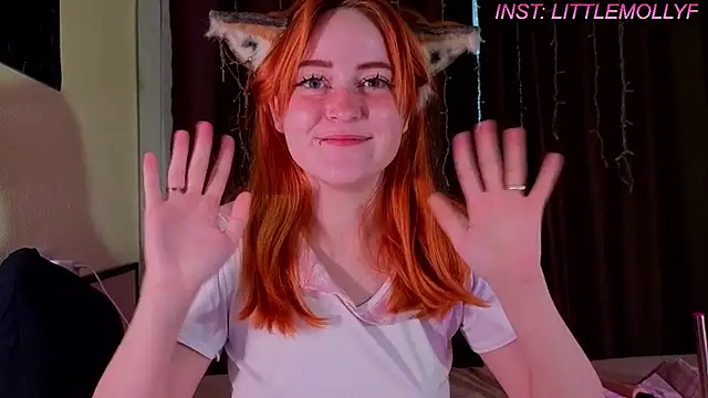 LittleFoxHole webcam