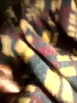 sexy_guy254 webcam