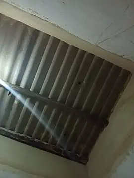 Melofcl webcam