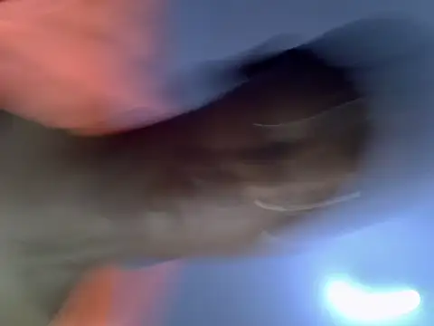 Pethic_slim webcam