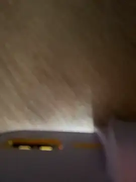 MerlinDave webcam