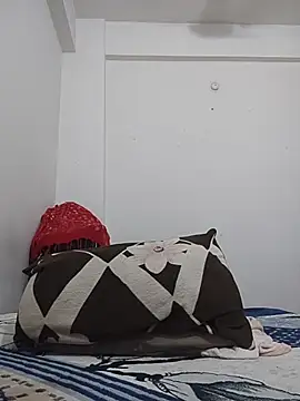 Vivicaa webcam