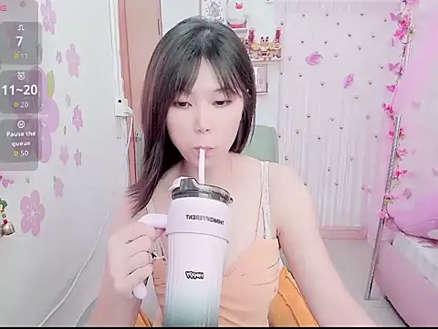 Stylec66 webcam
