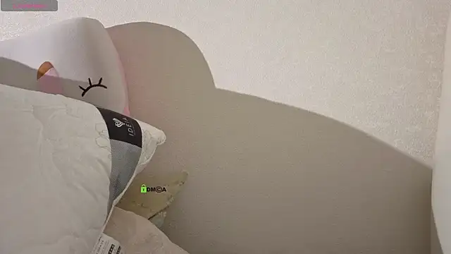 ShamlesssAdell webcam