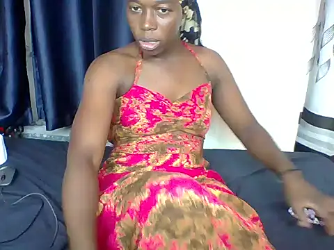 Poppet-dime webcam