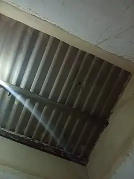 Melofcl live cam preview