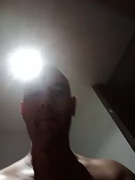 jpcowbow