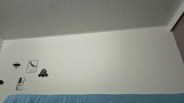 brandy_h9 webcam