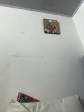 SALOME_KORLAND webcam