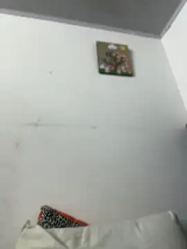 SALOME_KORLAND webcam