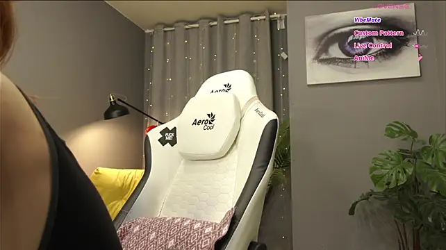 Megany webcam