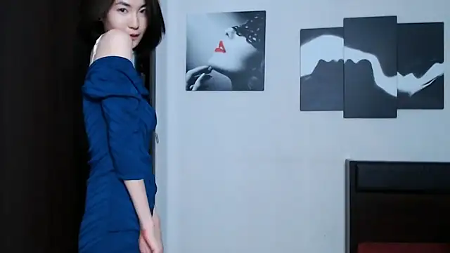 traxexe webcam