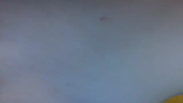 AverageRose webcam