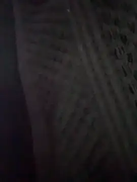 shainadavis webcam
