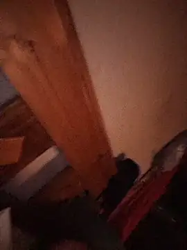 chemex12 live cam on StripChat