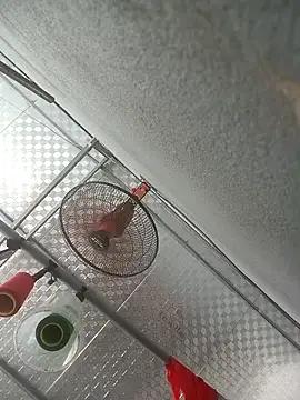 Vieekee webcam