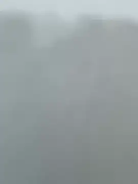 dongyye webcam